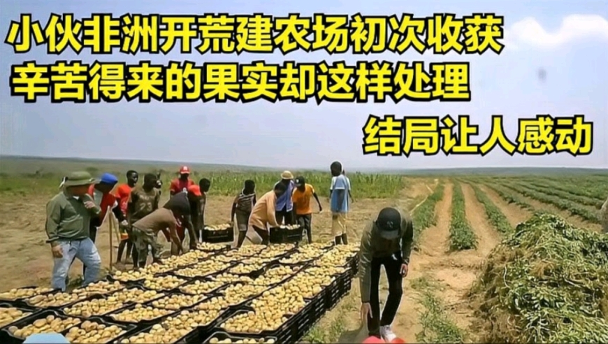 管家婆四肖八码期期准精,马斯克称美国养老金名单现150岁老人,最新核心解答落实_钱包版V11.69