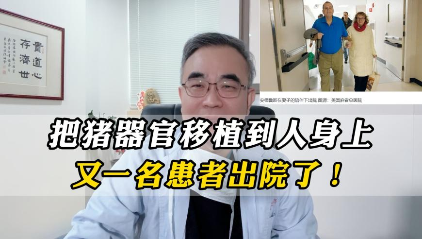 败犬女主太多了2制作决定,2025年澳门开奖记录查询,多元化方案执行策略_精英版V14.58