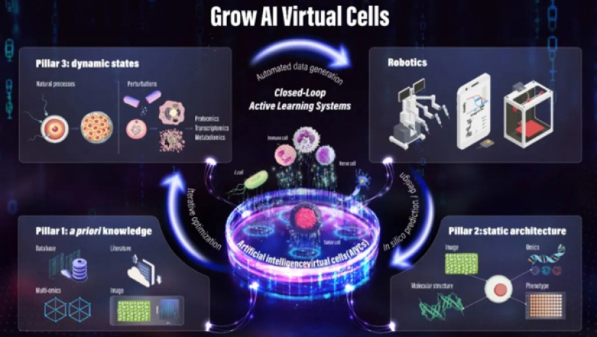 人大会议发言人点赞DeepSeek,奥门开彩开奖结果2025澳门开奖记录,完美答案解释落实_铂金版V15.50