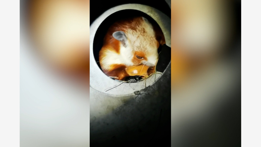 郑钦文0比2斯瓦泰克,奥门今晚特马开什么号码,最新热门解答落实_创意版V6.21