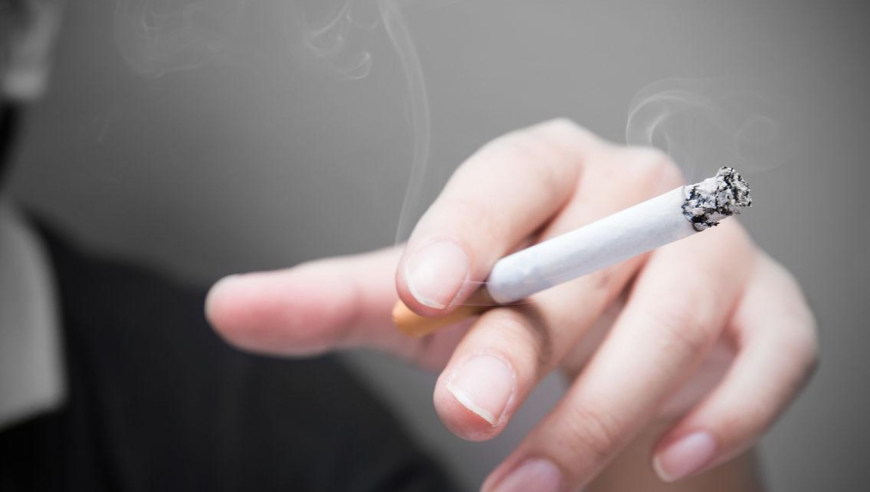香港一码一肖期期准100,奥斯卡红毯,广泛的解释落实支持计划_VR版V13.92